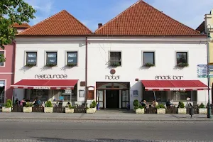 Hotel Český Dvůr image