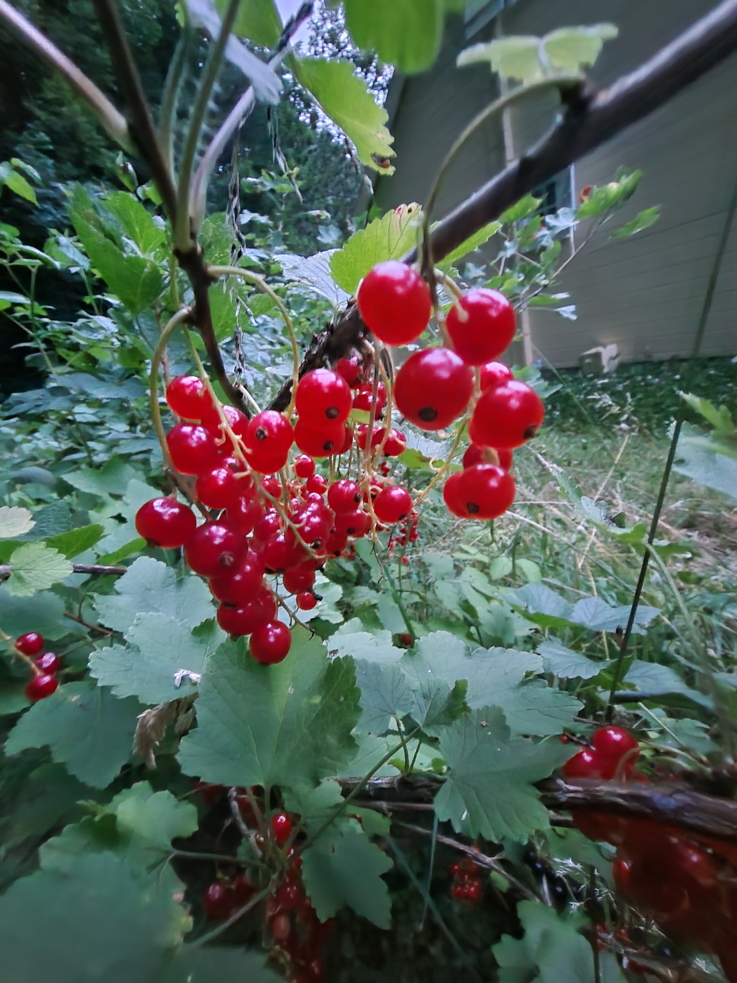 Photo n° 8 de l'avis de Restaurant.e fait le 12/07/2023 à 05:58