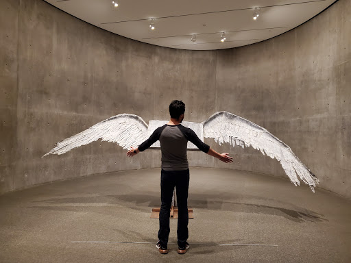 Modern Art Museum «Modern Art Museum of Fort Worth», reviews and photos, 3200 Darnell St, Fort Worth, TX 76107, USA