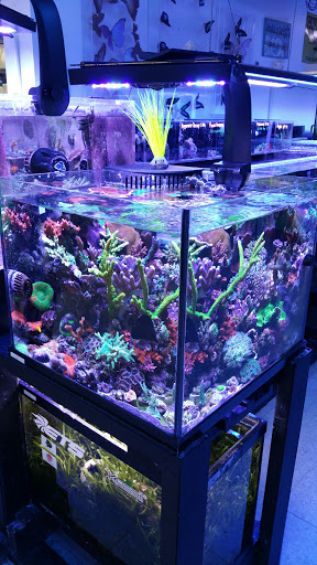 Pet Supply Store «Blue Fish Aquariums», reviews and photos, 5412 Mayfield Rd, Cleveland, OH 44124, USA