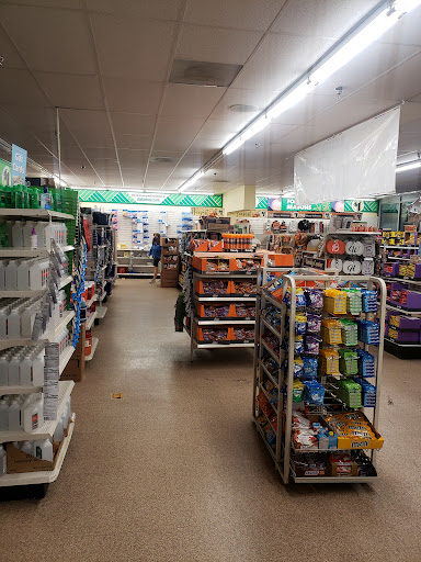 Dollar Store «Dollar Tree», reviews and photos, 825 Francisco Blvd W, San Rafael, CA 94901, USA
