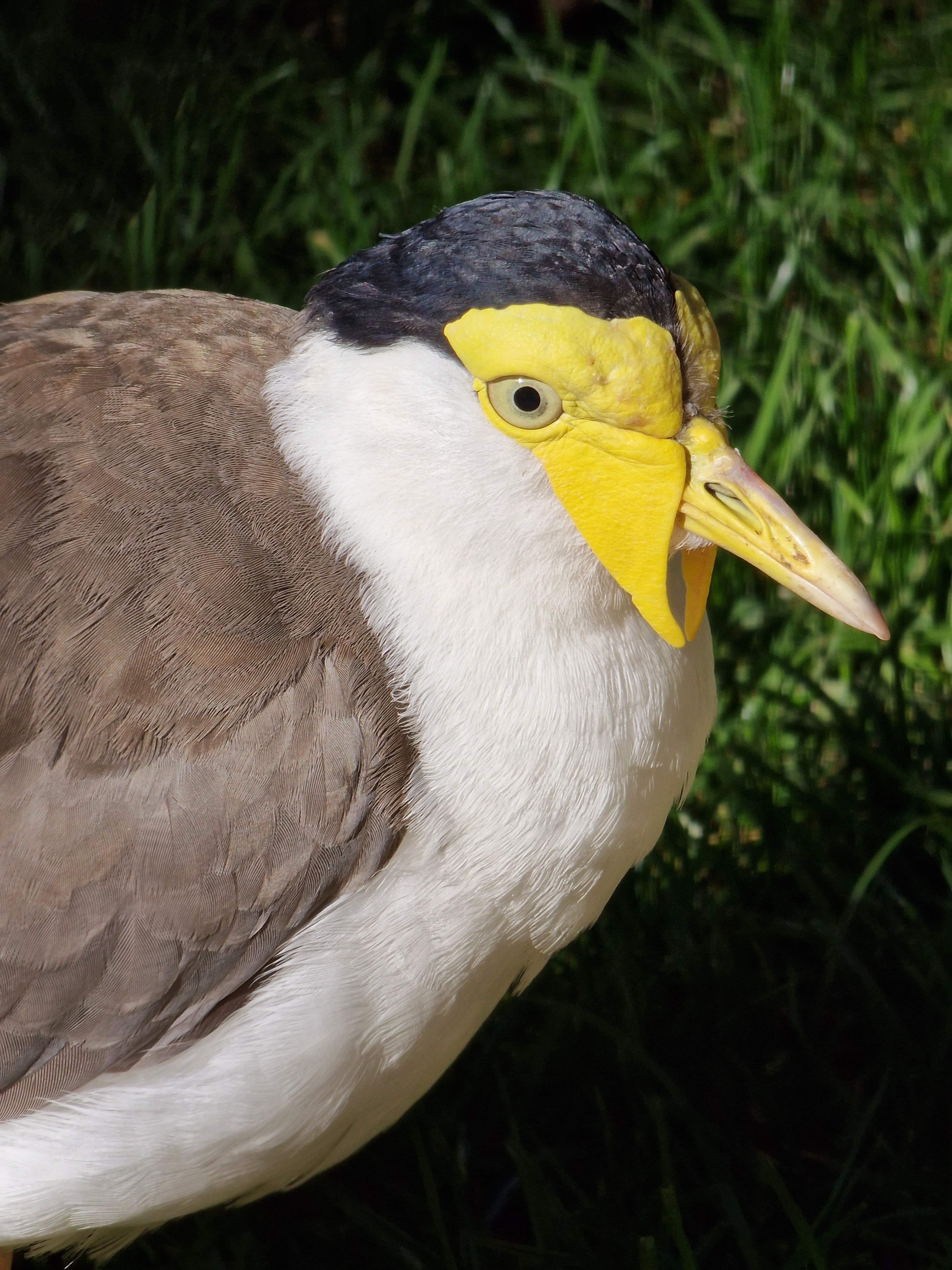 Photo n° 1 de l'avis de Brice.s fait le 19/10/2022 à 16:34