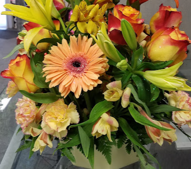 Florist «Park Floral Company», reviews and photos, 1055 Morris Park Ave, Bronx, NY 10461, USA