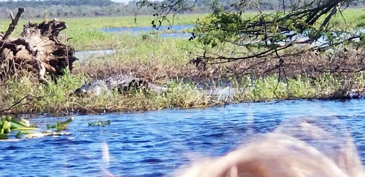 Tourist Attraction «Twister Airboat Rides», reviews and photos, 8199 W King St, Cocoa, FL 32926, USA