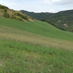 Photo n°2 de l'avis de Lina.e fait le 22/08/2020 à 20:33 sur le  Agriturismo Marzanella à Santa Maria in Castello