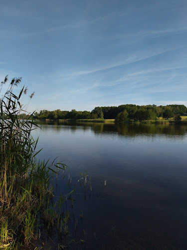 Plaża Pniowiec 5 - Rybnik
