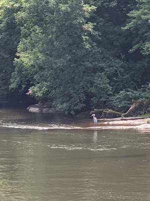 Grings Mill Recreation Area - photo 82