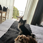 Photo n°4 de l'avis de Marzia.. fait le 06/10/2019 à 19:19 sur le  Baba Residences à Alassio