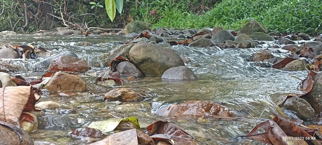 Puente Caño Cachirre