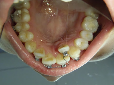 Wong & Ho Dental Clinic - Main Clinic - Wong & Ho Dental Clinic - Main Clinic