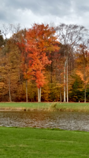 Golf Club «Timberwood Golf Club», reviews and photos, 23700 31 Mile Rd, Ray, MI 48096, USA