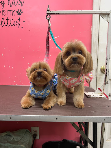 Kanine Design Pet Grooming