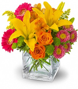 Florist «Spring Garden Flower Shop», reviews and photos, 211 Brooklyn Ave, San Antonio, TX 78215, USA