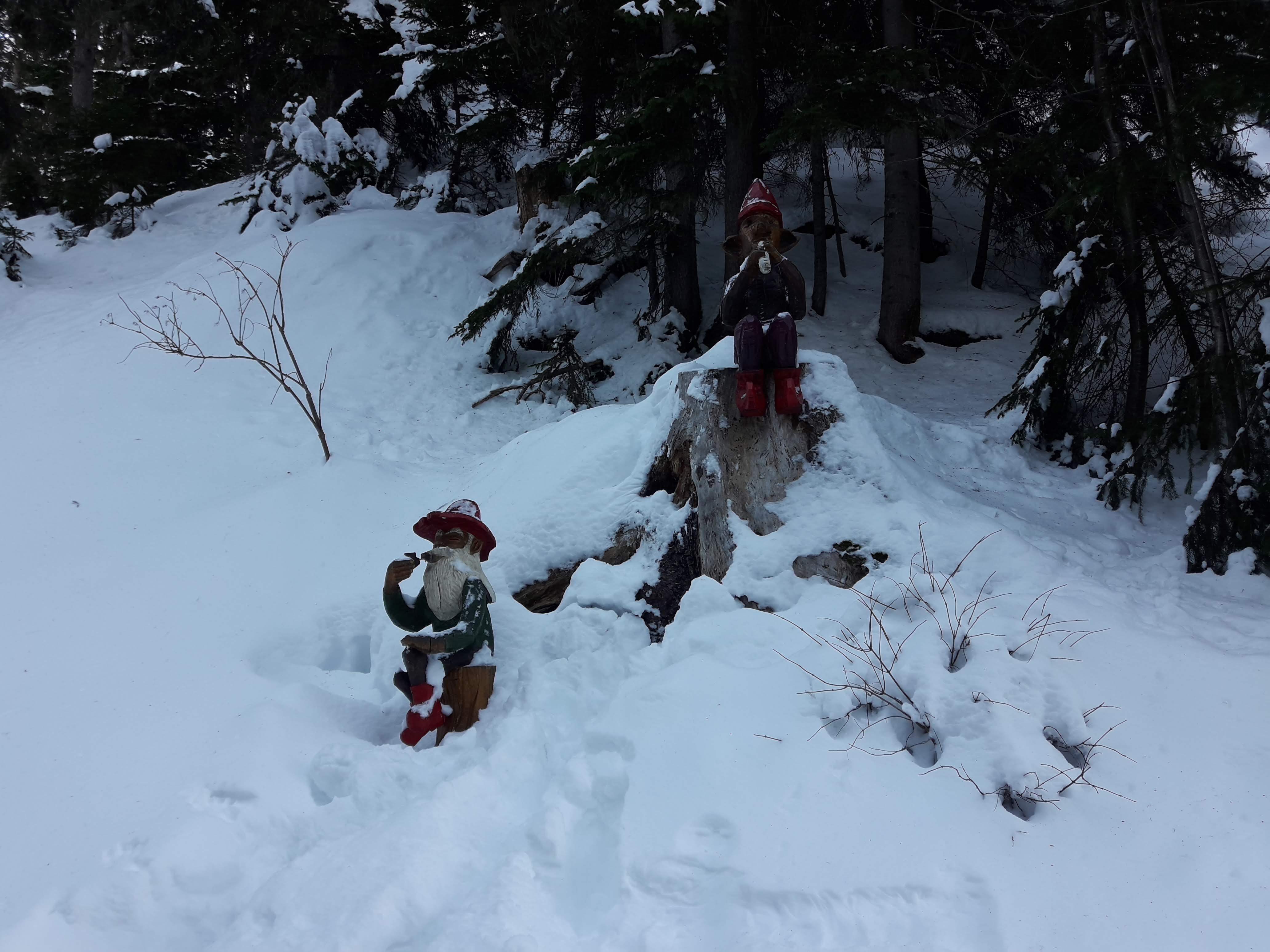 Photo n° 4 de l'avis de STANISLAV.A fait le 31/12/2019 à 07:32