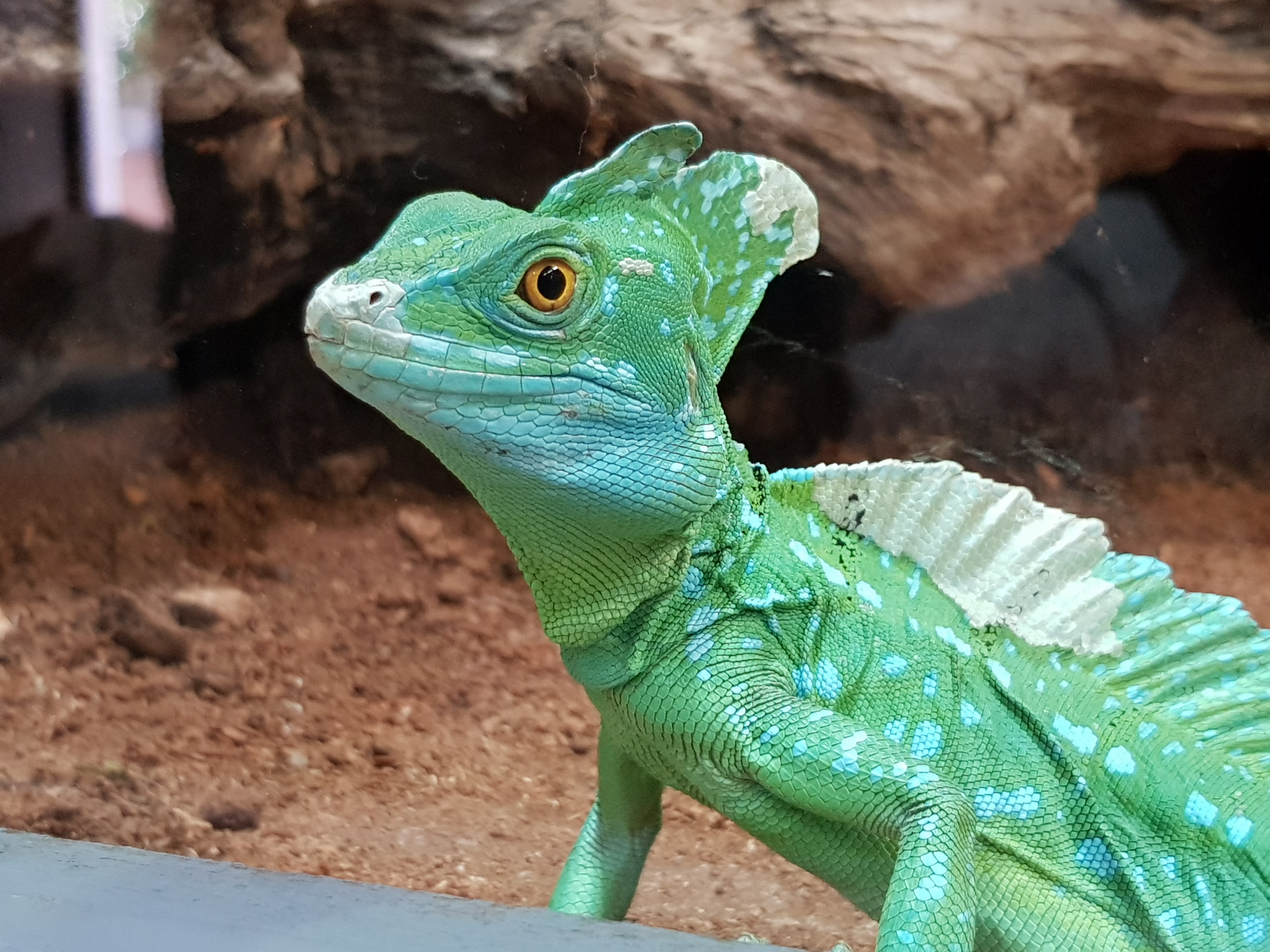 Photo n° 1 de l'avis de Coralie.u fait le 15/08/2023 à 14:53