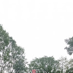 Photo n°21 de l'avis de Kateryna.a fait le 06/08/2023 à 16:09 sur le  Karls Rittergut von Barby à Möckern