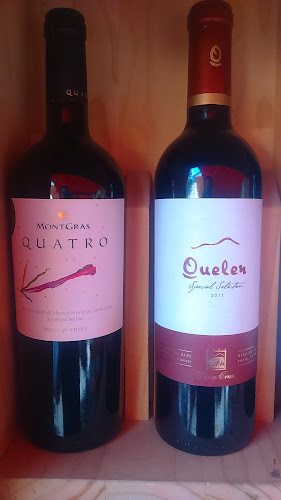 Comentarios y opiniones de Brasas Del Sur