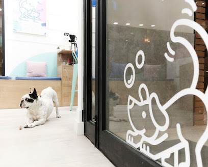 Peluquería canina Bud&apos;s Bath-Zaragoza - Servicios para mascota en Zaragoza