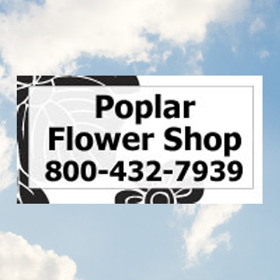 Florist «Poplar Flower Shop», reviews and photos, 361 S 18th St, Terre Haute, IN 47807, USA