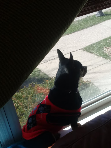 Barber Shop «Church Street Barber Shop», reviews and photos, 1905 Church St, Evanston, IL 60201, USA