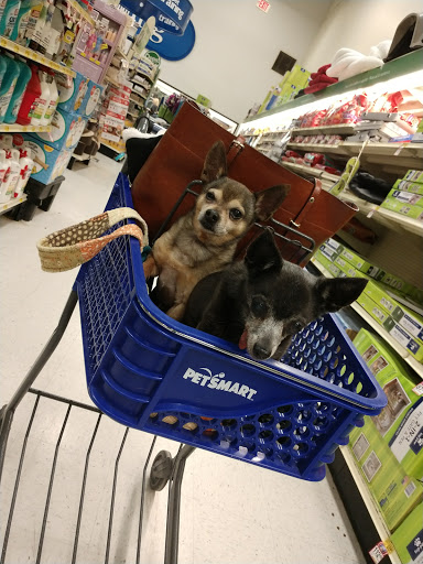 Pet Supply Store «PetSmart», reviews and photos, 4731 Commercial Dr, New Hartford, NY 13413, USA