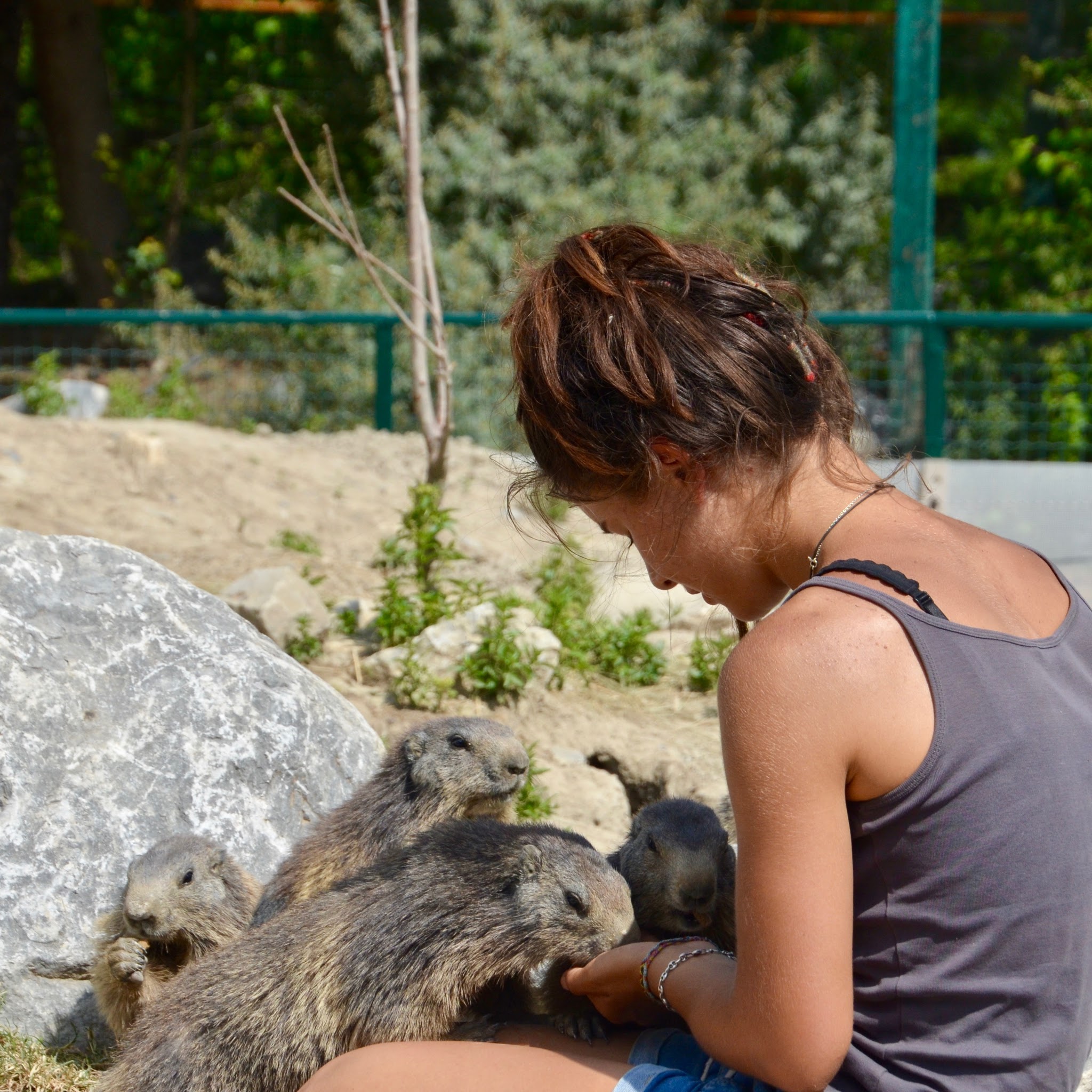 Photo n° 4 de l'avis de Sébastien.i fait le 24/06/2017 à 20:20