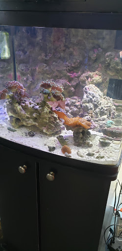 Tropical Fish Store «Marine Solutions», reviews and photos, 20 Triad S Dr, St Charles, MO 63304, USA