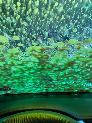 Car Wash «Zips Car Wash», reviews and photos, 4831 Poplar Ave, Memphis, TN 38117, USA