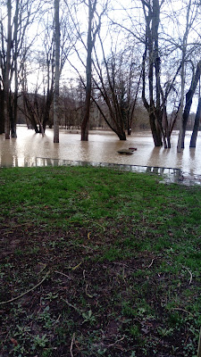 Commune Couilly Pont Aux Dames à Couilly-Pont-aux-Dames