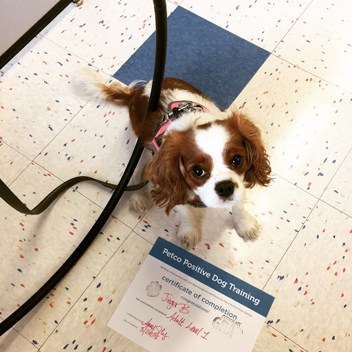 Pet Supply Store «Petco Animal Supplies», reviews and photos, 85 State St, Orem, UT 84058, USA