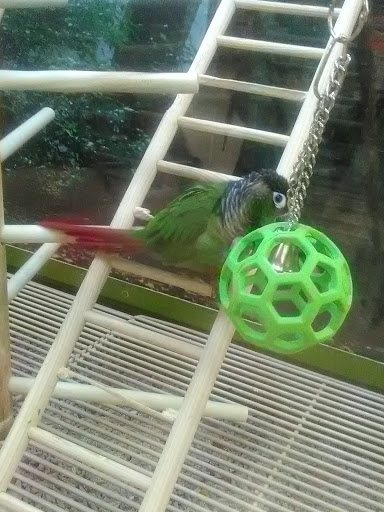 Pet Supply Store «Petco Animal Supplies», reviews and photos, 16639 Sierra Lakes Pkwy, Fontana, CA 92336, USA