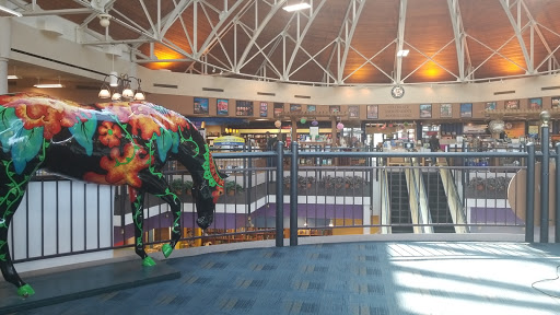 Shopping Mall «The Mall At Lexington Green», reviews and photos, 161 Lexington Green Cir, Lexington, KY 40503, USA