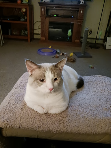 Byron Center Animal Hospital image