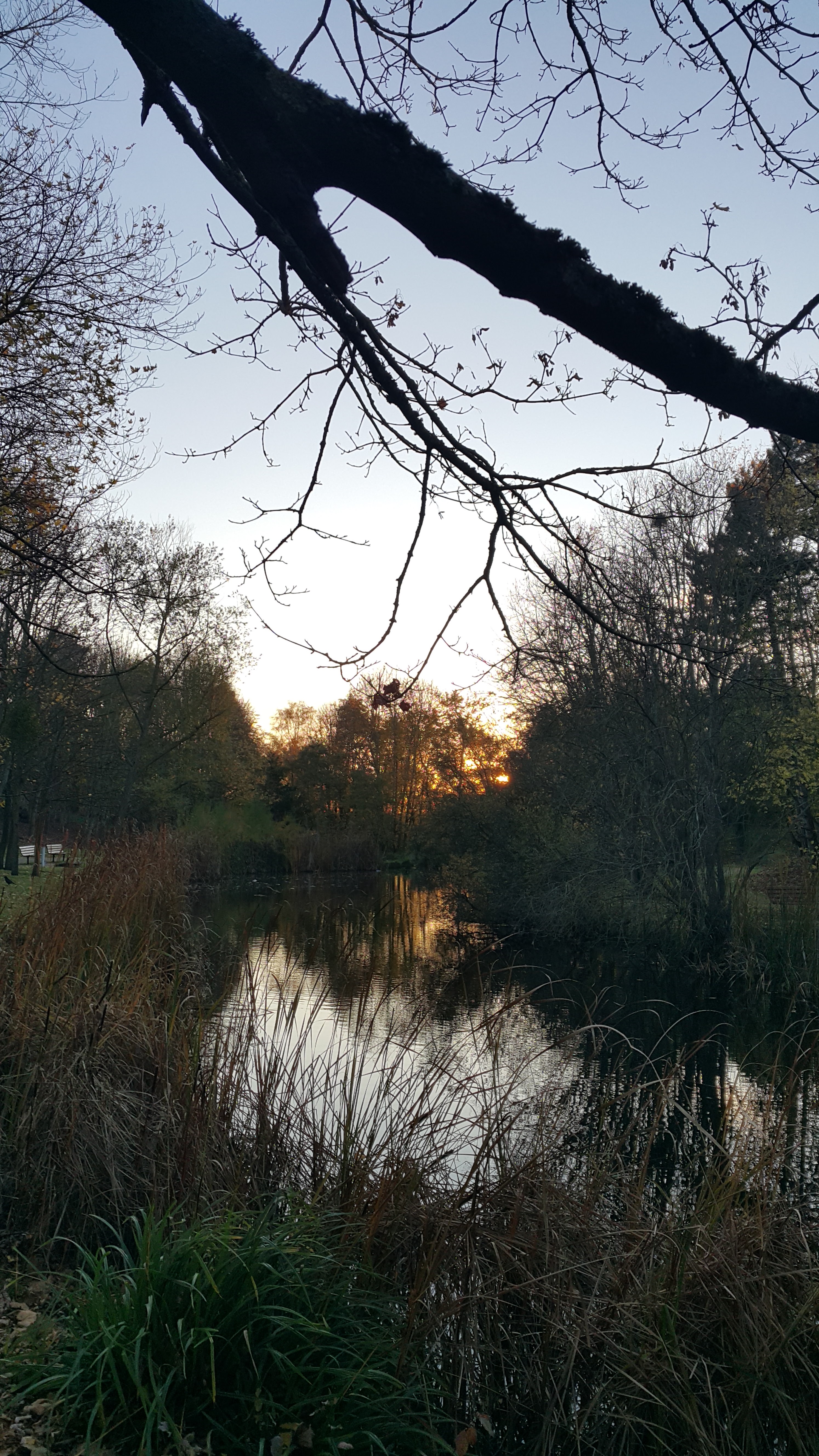 Photo n° 15 de l'avis de Maria.o fait le 01/01/2018 à 17:41