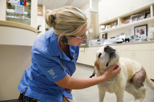 VCA California Veterinary Specialists-Carlsbad