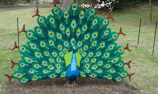 Zoo «Memphis Zoo», reviews and photos, 2000 Prentiss Pl, Memphis, TN 38112, USA