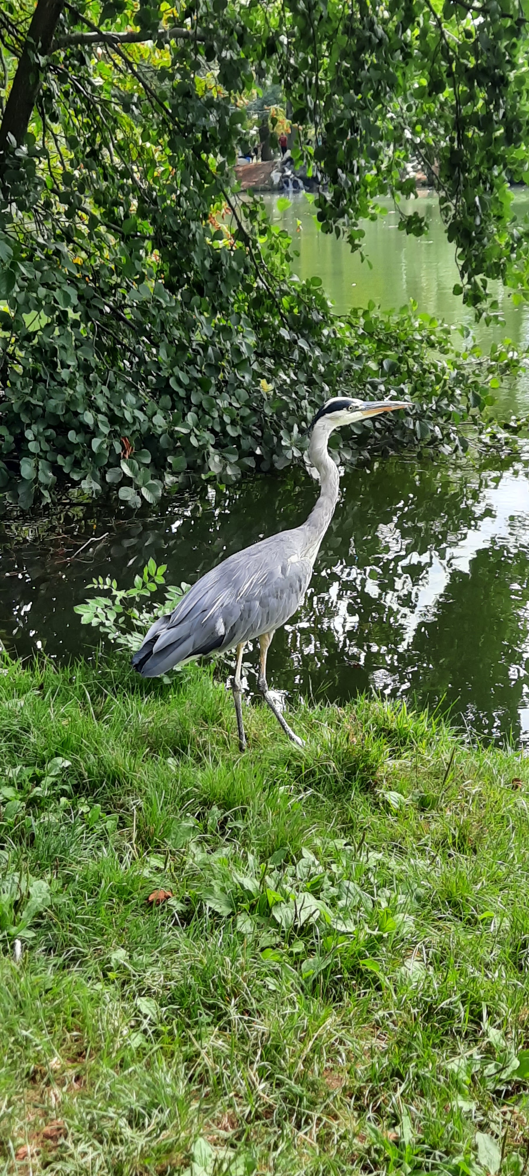 Photo n° 9 de l'avis de Val.r fait le 24/08/2020 à 15:09