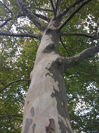 National Park «Fort Hunt Park», reviews and photos, 8999 Fort Hunt Rd, Alexandria, VA 22308, USA