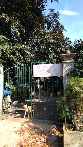 Vựa Hoa Lan Dung Vũ