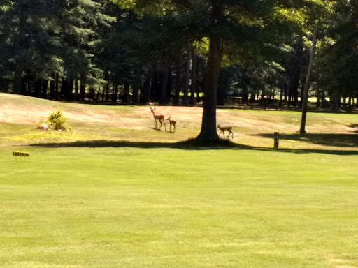 Country Club «Norton Country Club», reviews and photos, 188 Oak St, Norton, MA 02766, USA