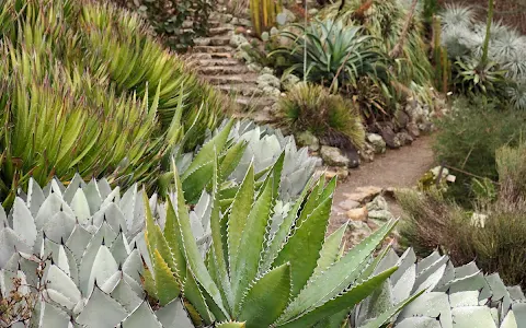 University of California Botanical Garden image