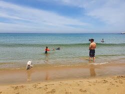 Photo de North Separation Beach et le règlement
