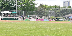 Bonn Capitals Baseball