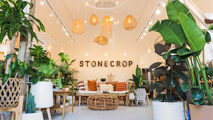 Stonecrop Plants & Accessories