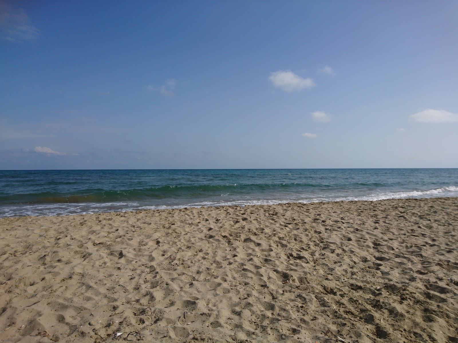 Foto di Platja Sud de Torreblanca zona selvaggia