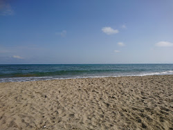 Foto di Platja Sud de Torreblanca zona selvaggia