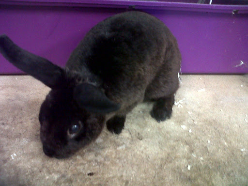 Pet Supply Store «Care-A-Lot Pet Supply Oyster Point», reviews and photos, 301 Oyster Point Rd, Newport News, VA 23602, USA