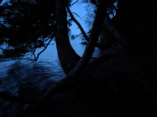 Nature Preserve «Gazzam Lake Nature Preserve», reviews and photos, 6105 NE Marshall Rd, Bainbridge Island, WA 98110, USA