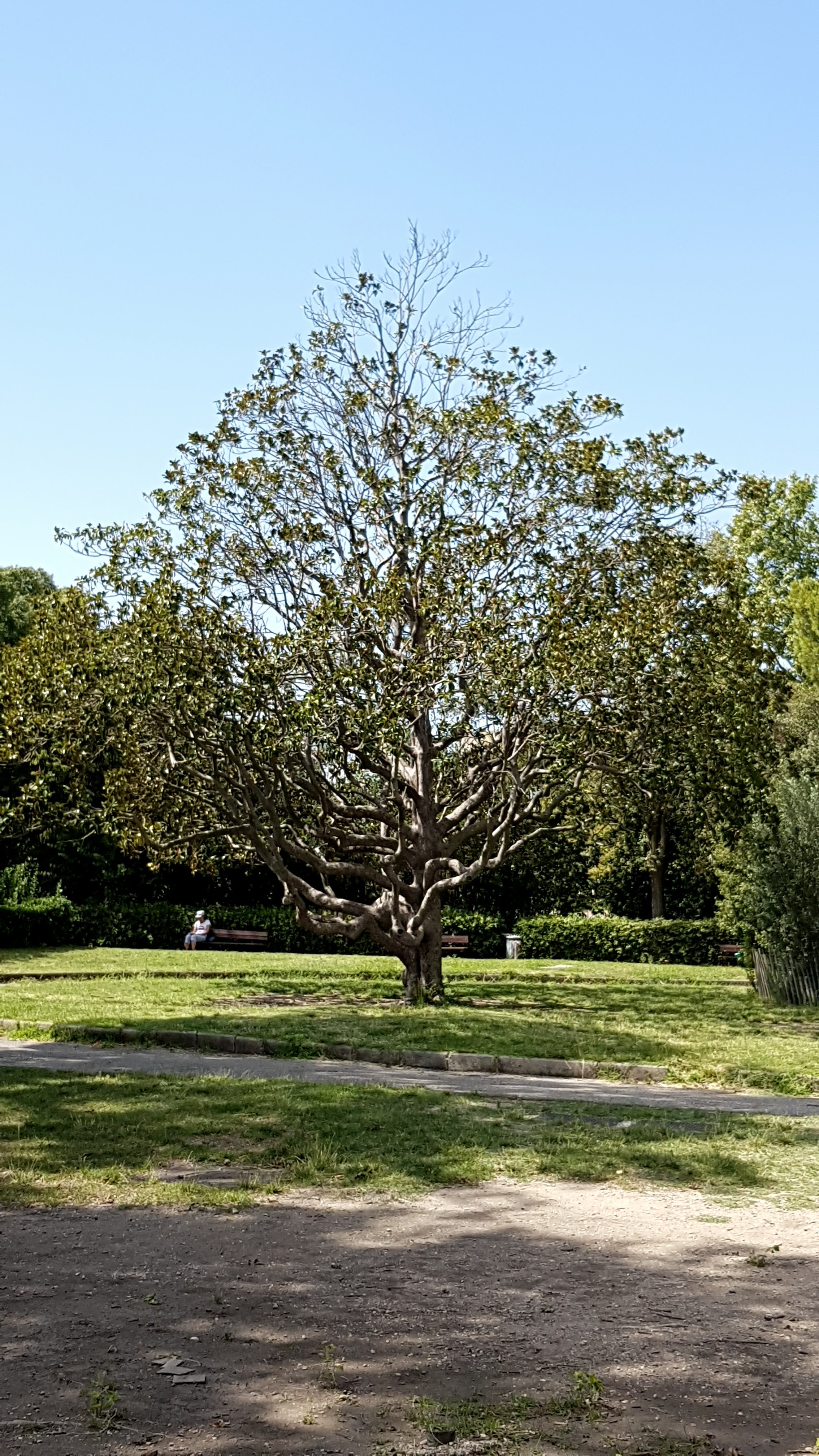 Photo n° 11 de l'avis de Infos.E fait le 19/08/2019 à 07:33