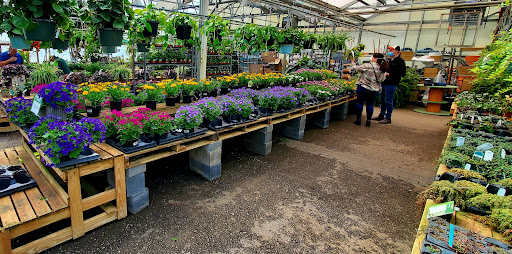 Garden Center «Homestead Gardens», reviews and photos, 743 Central Ave, Davidsonville, MD 21035, USA
